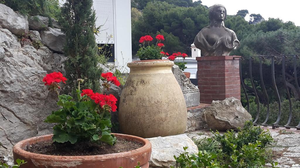 Casa Del Solitario Κάπρι Εξωτερικό φωτογραφία